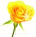 Accent Cremation Consultants